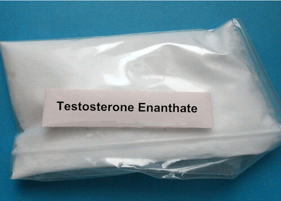 Legal Testosterone Enanthate Injectable Anabolic Steroids For Muscle Gain