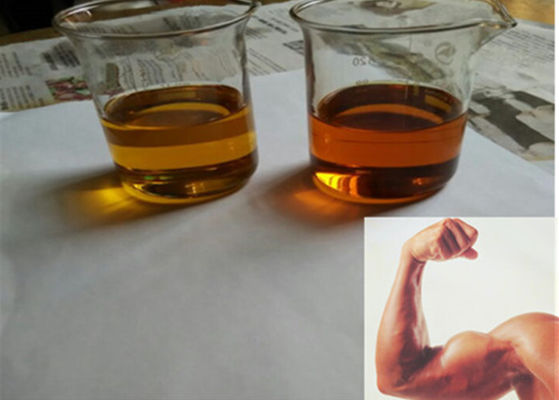 Top Quality Injection Testosterone Propionate Test P 100mg/ml For Men 57-85-2
