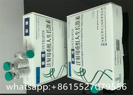Jintropin 10iu HGH Human Growth Hormone 191AA Grade For Musscle Gain